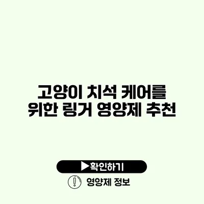 고양이 치석 케어를 위한 링거 영양제 추천