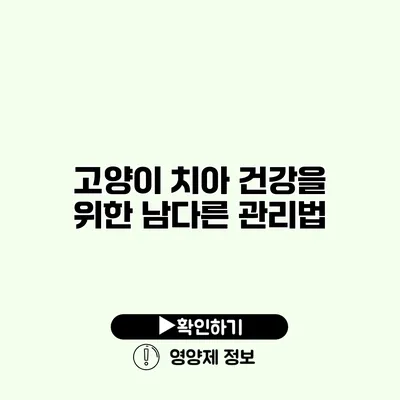 고양이 치아 건강을 위한 남다른 관리법