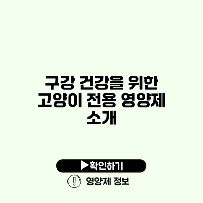 구강 건강을 위한 고양이 전용 영양제 소개