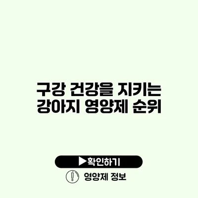 구강 건강을 지키는 강아지 영양제 순위