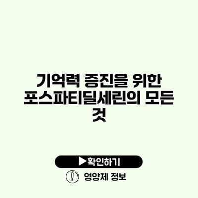 기억력 증진을 위한 포스파티딜세린의 모든 것