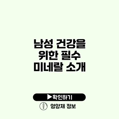 남성 건강을 위한 필수 미네랄 소개