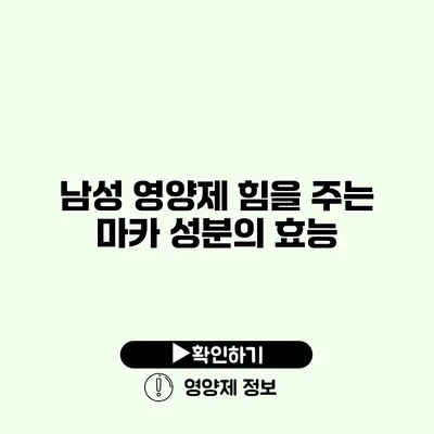 남성 영양제 힘을 주는 마카 성분의 효능