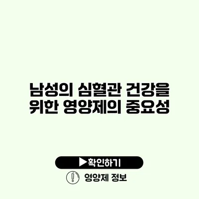 남성의 심혈관 건강을 위한 영양제의 중요성