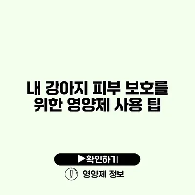 내 강아지 피부 보호를 위한 영양제 사용 팁