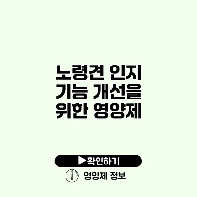 노령견 인지 기능 개선을 위한 영양제