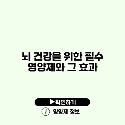 뇌 건강을 위한 필수 영양제와 그 효과
