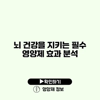 뇌 건강을 지키는 필수 영양제 효과 분석