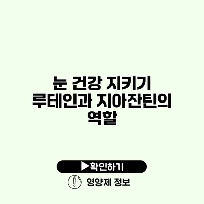 눈 건강 지키기 루테인과 지아잔틴의 역할