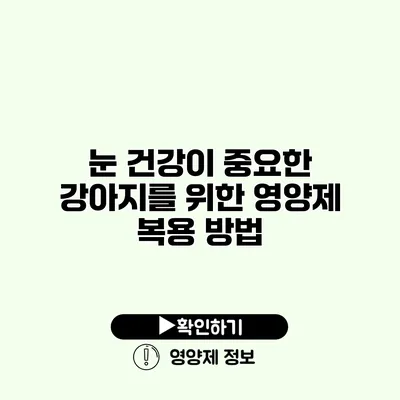 눈 건강이 중요한 강아지를 위한 영양제 복용 방법