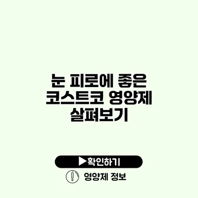 눈 피로에 좋은 코스트코 영양제 살펴보기