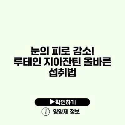 눈의 피로 감소! 루테인 지아잔틴 올바른 섭취법