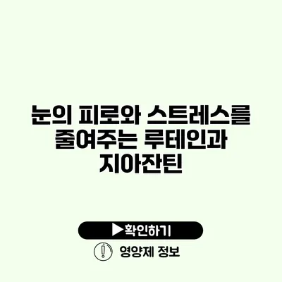 눈의 피로와 스트레스를 줄여주는 루테인과 지아잔틴