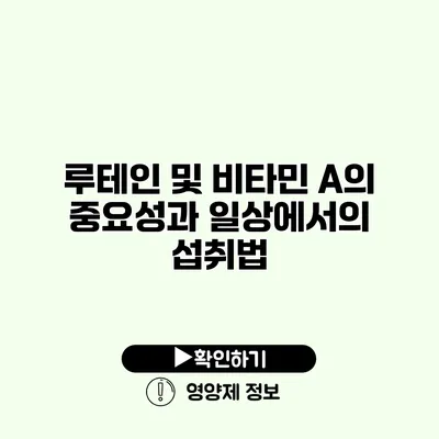 루테인 및 비타민 A의 중요성과 일상에서의 섭취법