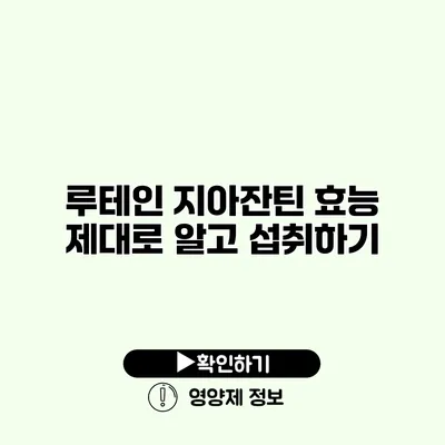 루테인 지아잔틴 효능 제대로 알고 섭취하기