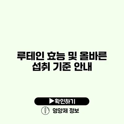 루테인 효능 및 올바른 섭취 기준 안내