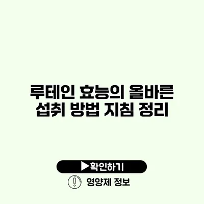 루테인 효능의 올바른 섭취 방법 지침 정리