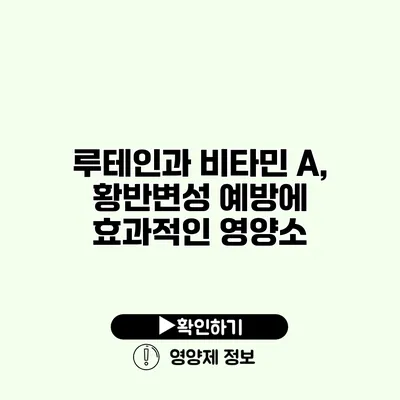 루테인과 비타민 A, 황반변성 예방에 효과적인 영양소