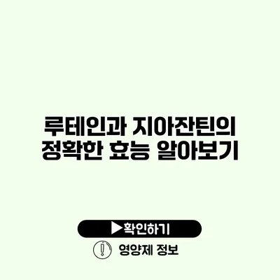 루테인과 지아잔틴의 정확한 효능 알아보기