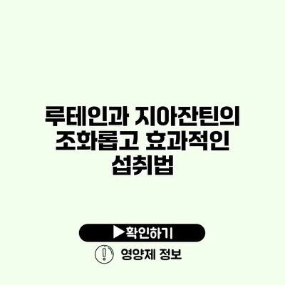 루테인과 지아잔틴의 조화롭고 효과적인 섭취법