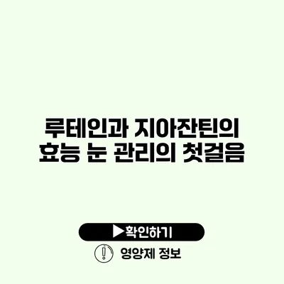 루테인과 지아잔틴의 효능 눈 관리의 첫걸음