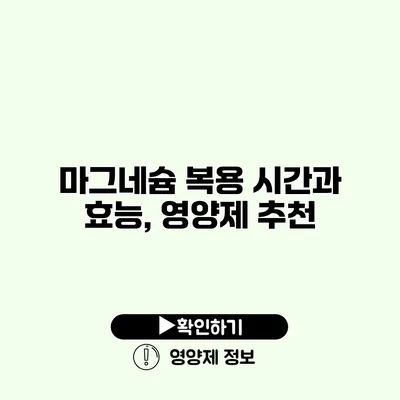 마그네슘 복용 시간과 효능, 영양제 추천