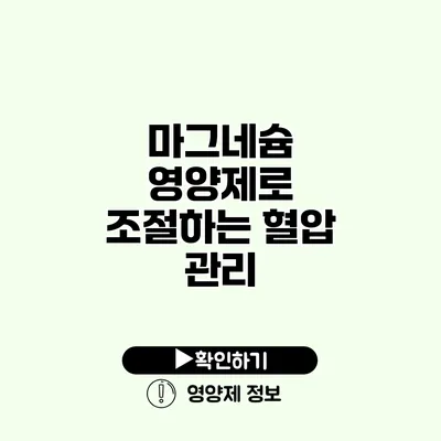 마그네슘 영양제로 조절하는 혈압 관리