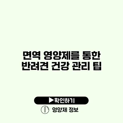 면역 영양제를 통한 반려견 건강 관리 팁