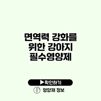 면역력 강화를 위한 강아지 필수영양제