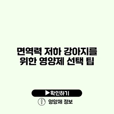 면역력 저하? 강아지를 위한 영양제 선택 팁