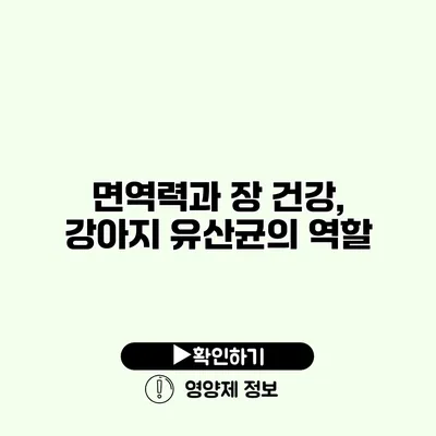 면역력과 장 건강, 강아지 유산균의 역할