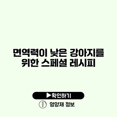 면역력이 낮은 강아지를 위한 스페셜 레시피