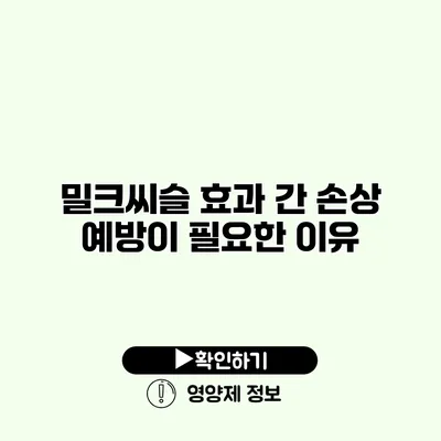 밀크씨슬 효과 간 손상 예방이 필요한 이유