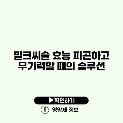 밀크씨슬 효능 피곤하고 무기력할 때의 솔루션