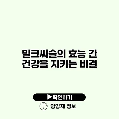 밀크씨슬의 효능 간 건강을 지키는 비결