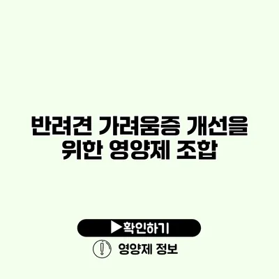 반려견 가려움증 개선을 위한 영양제 조합
