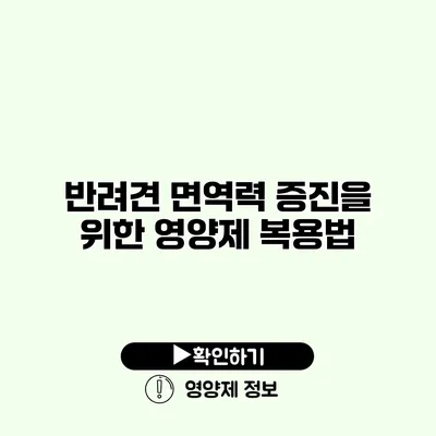 반려견 면역력 증진을 위한 영양제 복용법