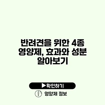 반려견을 위한 4종 영양제, 효과와 성분 알아보기