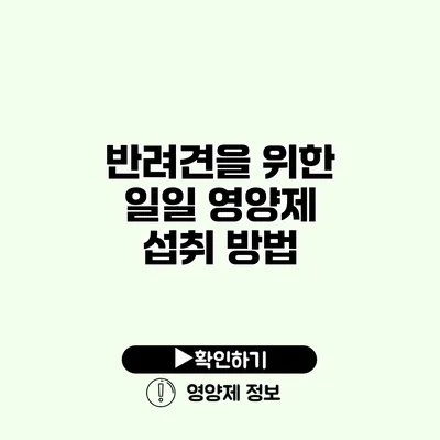 반려견을 위한 일일 영양제 섭취 방법