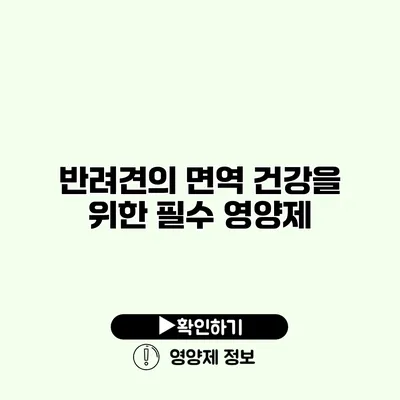 반려견의 면역 건강을 위한 필수 영양제