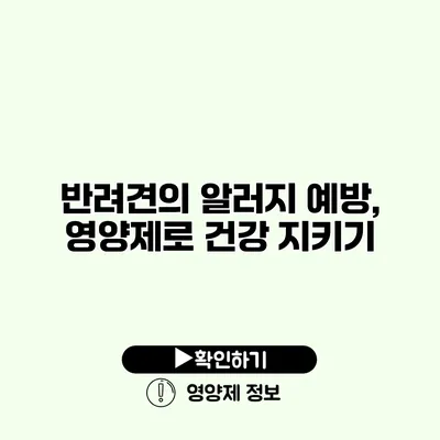 반려견의 알러지 예방, 영양제로 건강 지키기