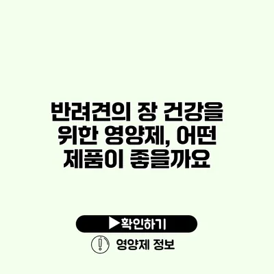 반려견의 장 건강을 위한 영양제, 어떤 제품이 좋을까요?