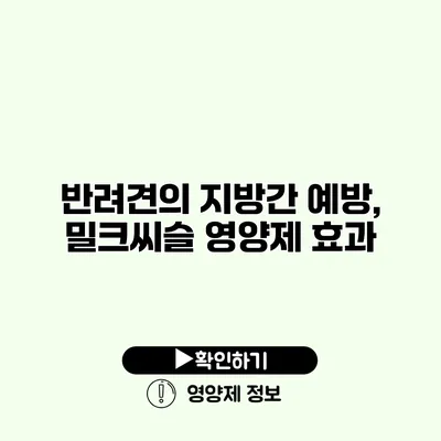 반려견의 지방간 예방, 밀크씨슬 영양제 효과