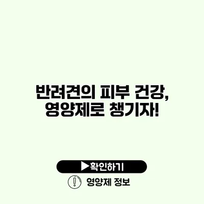 반려견의 피부 건강, 영양제로 챙기자!