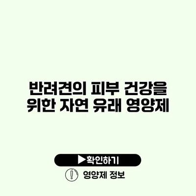 반려견의 피부 건강을 위한 자연 유래 영양제