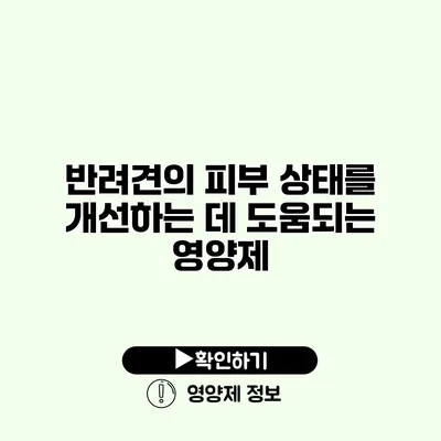 반려견의 피부 상태를 개선하는 데 도움되는 영양제