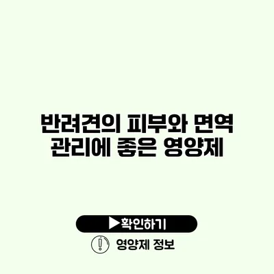 반려견의 피부와 면역 관리에 좋은 영양제