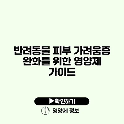 반려동물 피부 가려움증 완화를 위한 영양제 가이드