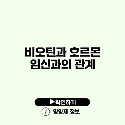 비오틴과 호르몬 임신과의 관계
