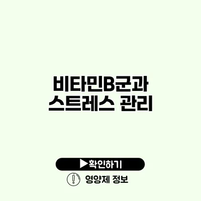비타민B군과 스트레스 관리